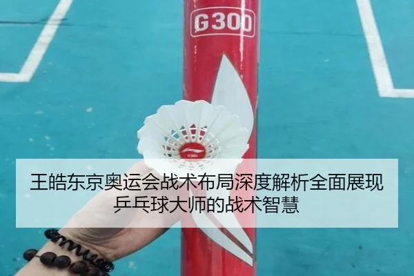 王皓东京奥运会战术布局深度解析全面展现乒乓球大师的战术智慧