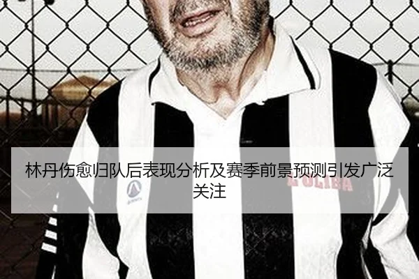 林丹伤愈归队后表现分析及赛季前景预测引发广泛关注